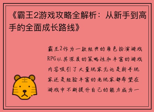 《霸王2游戏攻略全解析：从新手到高手的全面成长路线》
